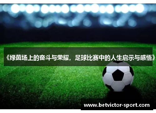 《绿茵场上的奋斗与荣耀，足球比赛中的人生启示与感悟》