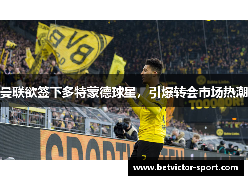 曼联欲签下多特蒙德球星，引爆转会市场热潮