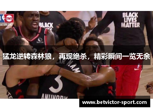 猛龙逆转森林狼，再现绝杀，精彩瞬间一览无余